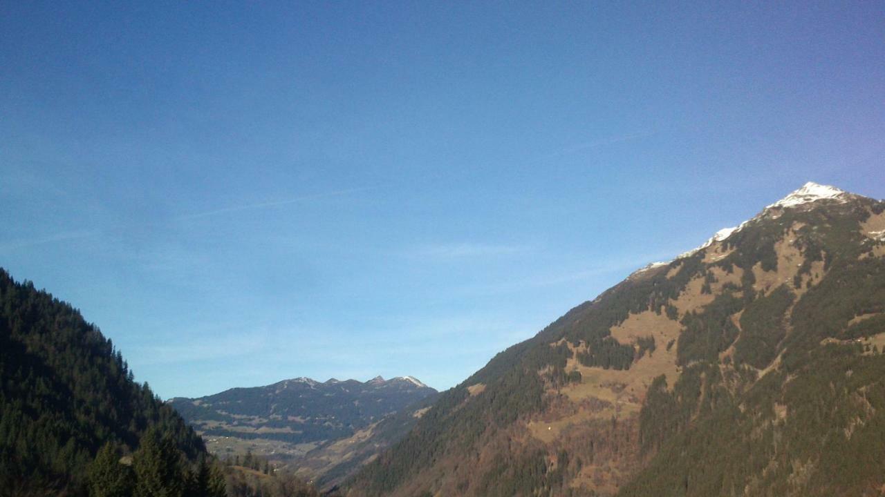 Neuberg Alm Villa Sankt Gallenkirch Exterior foto