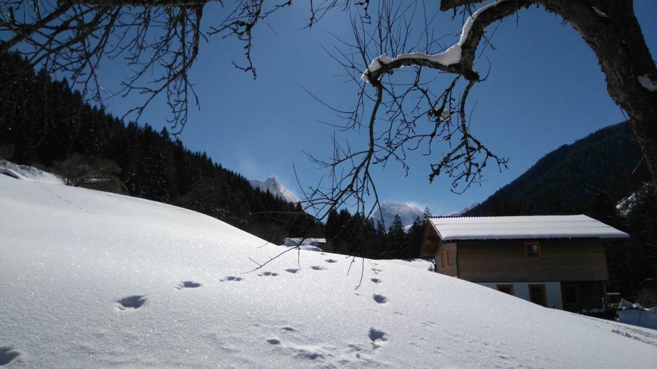 Neuberg Alm Villa Sankt Gallenkirch Exterior foto